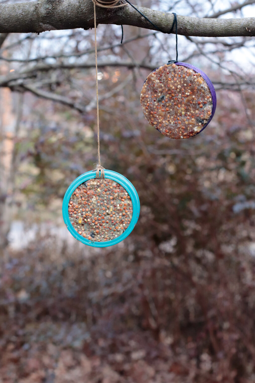 A DIY Mason Jar Bird Feeder Is A Great Craft   Collage2 MG 2004 2 1024x1536 