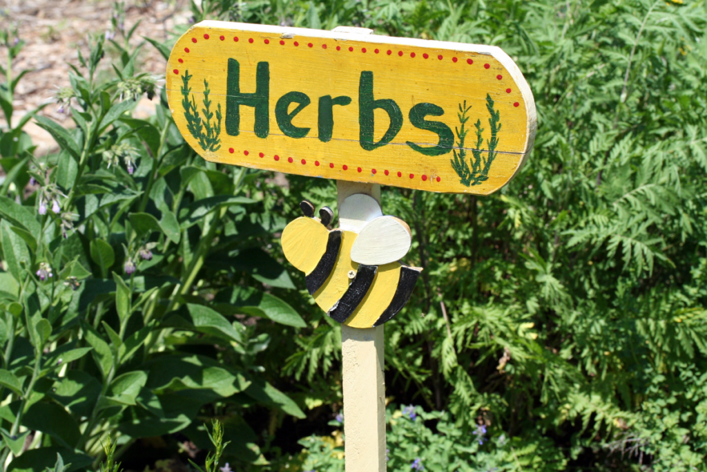 herb gardening tips