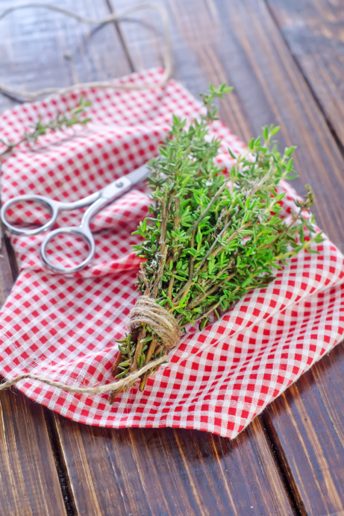 herb gardening tips