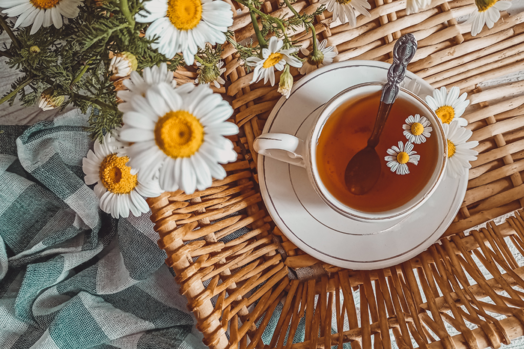 how to dry chamomile for tea